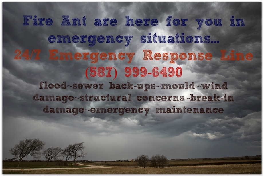 Fire Ant emergency response