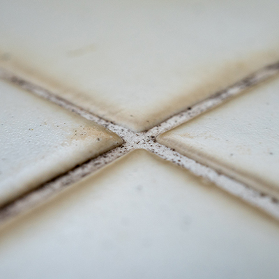 Grout Mold